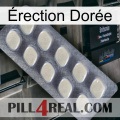 Érection Dorée 08